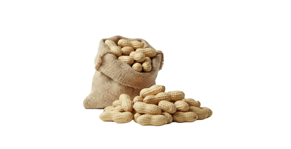 ARACHIDI IN GUSCIO Frutta Secca Ke Passione - Vivicasa