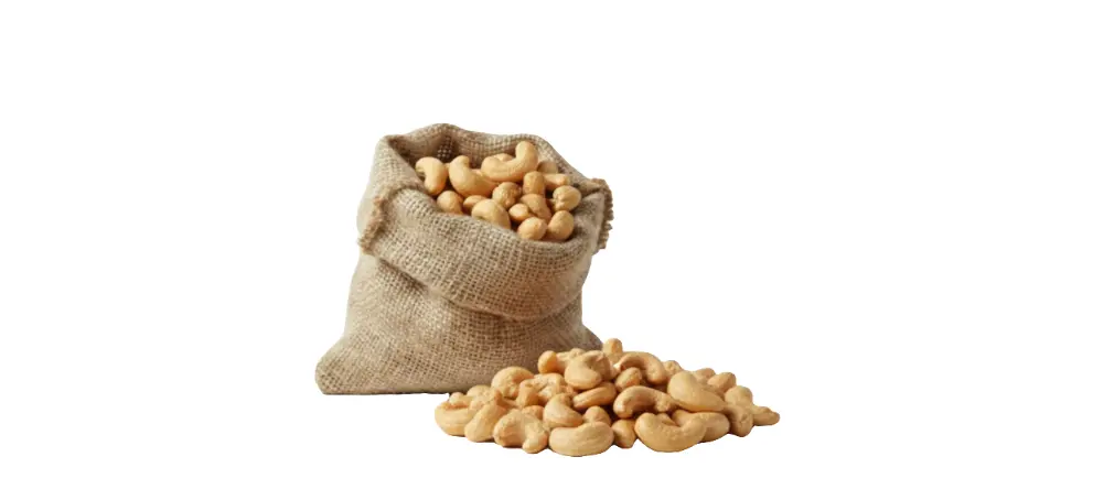 ANACARDI TOSTATI SALATI Frutta Secca Ke Passione - Vivicasa