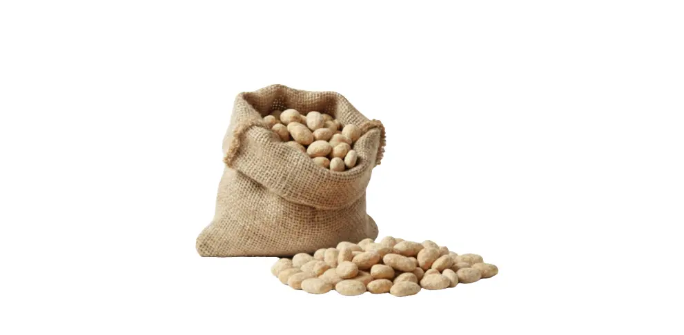 ARACHIDI TOSTATE SGUSCIATE SALATE Frutta Secca Ke Passione - Vivicasa