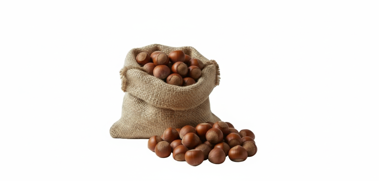 NOCCIOLE IN GUSCIO TOSTATE